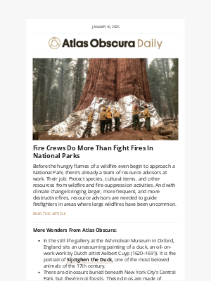 Atlas Obscura - The fire crews helping National Parks survive wildfires