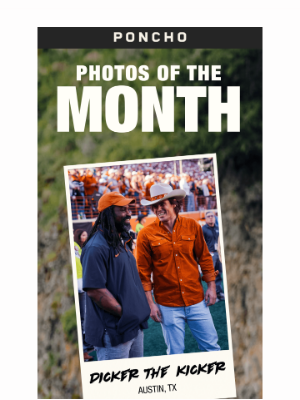 Poncho - Photos of the Month