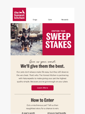 The Honest Kitchen - You Could Win a Year of The Honest Kitchen + a Luxury Bed Bundle!