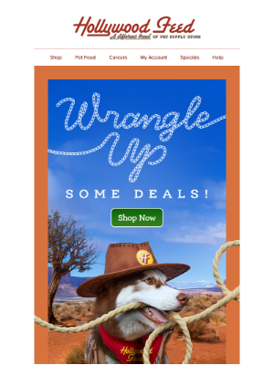 Hollywood Feed - Wrangle Up Some Deals! 🤠 🐶