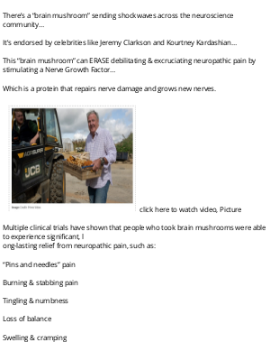 Related Email 1