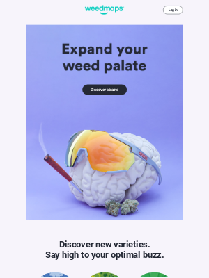 Weedmaps - 🌱 Each strain says high in a different way