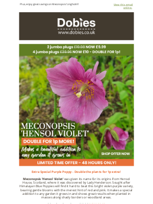 Dobies (United Kingdom) - Extra Special Purple Poppy - Double the plants for 1p extra!
