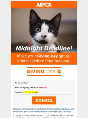 ASPCA - MIDNIGHT DEADLINE: Giving Day Is Almost Over!