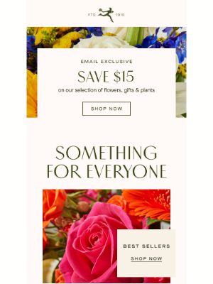 FTD Flowers - Surprise Someone You Love & Save $15 Today