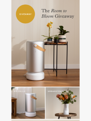 Molekule - 💐Molekule x UrbanStems GIVEAWAY 💐