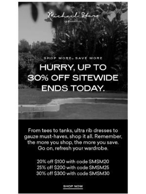 Michael Stars - Just a few hours left...