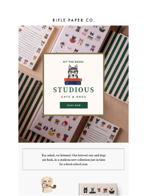 Cats & Dogs Are Back! (With a Studious New Look) 🐾📚