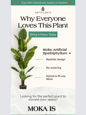 artiplanto - Meet the Plant of the Week: Moka Artificial Spathiphyllum 🌿