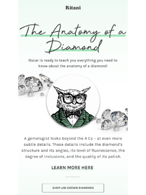 Ritani - School of Rocks: The Anatomy of a Diamond💎