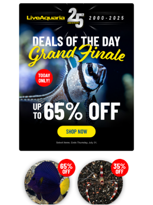 LiveAquaria - Last chance! ‼️ Up to 65% off July Daily Deals