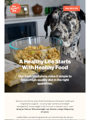 The Farmer's Dog - Better years for Blackie start with better food.