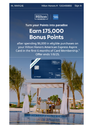 Hilton Hotels & Resorts - Earning 175K Bonus Points = making vacations happen.