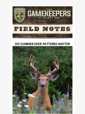 Mossy Oak - Do Summer Deer Patterns Matter?