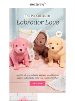 Nectar Bath Treats - NEW: More furry friends!