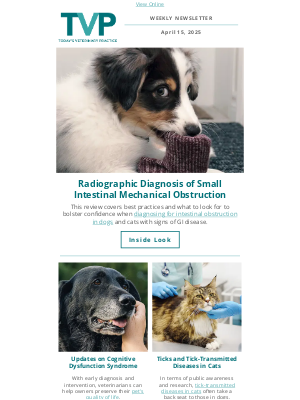 Todays Veterinary Practice - Small Intestinal Mechanical Obstruction: Top Radiographic Clues