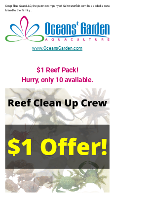 Saltwaterfish - 🐠🦀$1 Reef Clean Up Crew @ Oceansgarden.com