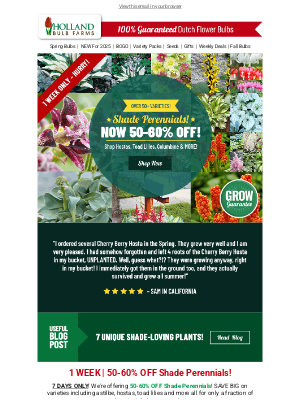 Holland Bulb Farms - 50+ SHADE-TASTIC Perennials 🌳 As LOW As $5.98!