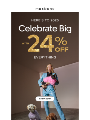 Goodbye 2024, Hello Sitewide Sale