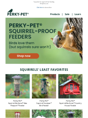 Perky Pet Feeders - Made for Birds (NOT Squirrels!)