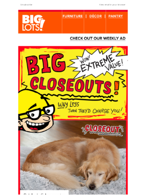 Big Lots - Extreme Closeouts! – Poppi, Glad and Pets, oh my!