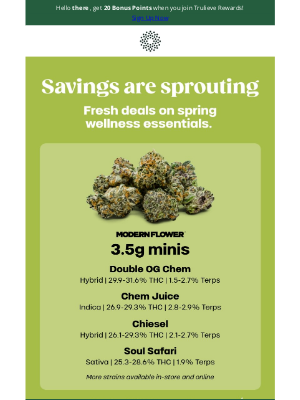 Trulieve - 🔥 Up to 31% THC Double OG Chem minis & more! 🌿