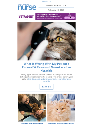 Todays Veterinary Nurse - New CE Feature: A Guide to Nonulcerative Keratitis