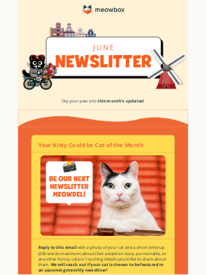 meowbox - Tell us about your cats! 😻