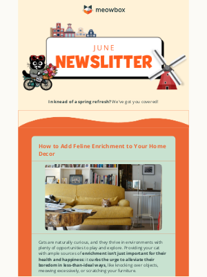 meowbox - How to add feline enrichment to your home decor