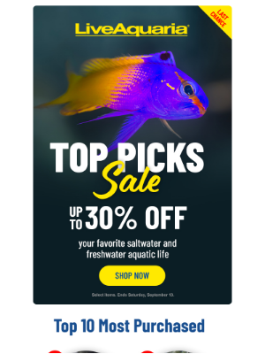 LiveAquaria - 📣 Last call! Save up to 30% on these favorites