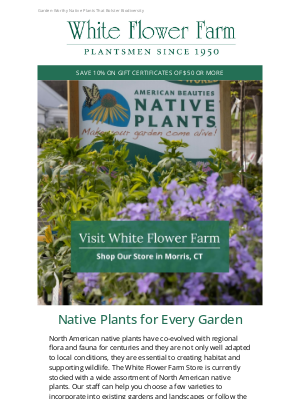 White Flower Farm - Shop the White Flower Farm Store for Native Plants That Create Habitat