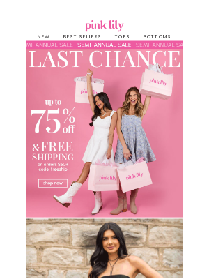The Pink Lily Boutique - LAST CHANCE: semi-annual sale 🛍️