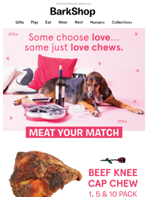 Valentine's Day email example by BarkShop