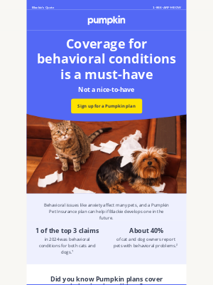 Pumpkin Petcare - Why Blackie needs coverage for behavioral issues