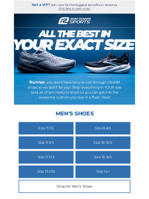 Road Runner Sports - 200,000+ Shoes. See What's In Your EXACT Size!