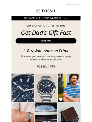 Fossil - Need Dad's Gift Now?