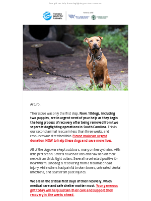 Humane Society of the United States - Rescue Update:  The fight to heal has just begun