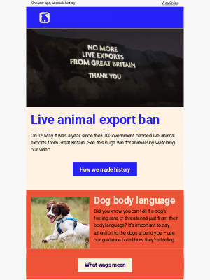 RSPCA (United Kingdom) - We’re back with a historic buzz!