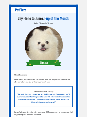 PetPlate - Hello To June’s Pup Of The Month!