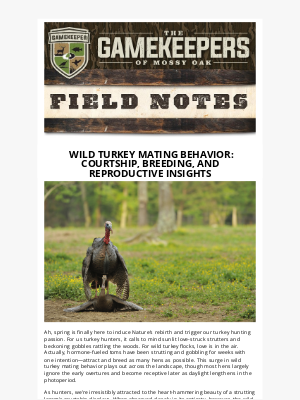 Mossy Oak - Wild Turkey Mating Behavior: Courtship, Breeding, and Reproductive Insights