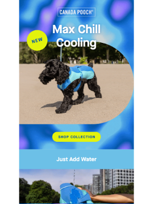 Canada Pooch - NEW Max Chill for hot summer days ahead 🌞