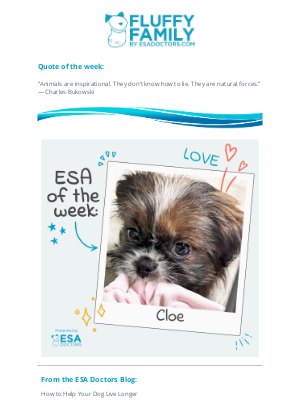 ESA Doctors - ESA of the Week!