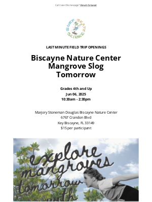 Island Water Sports - Last Minute Field Trip Exploring Mangroves Tomorrow