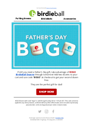 Birdie Ball - BOGO Continues!