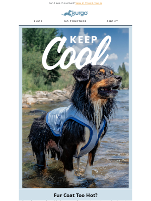 Kurgo - The Secret to Keeping Your Dog Chill this Summer!