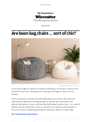 The Wirecutter - A $1,000 ... bean bag chair?