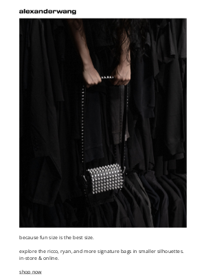 Alexander Wang - small, plz: ricco & ryan bags