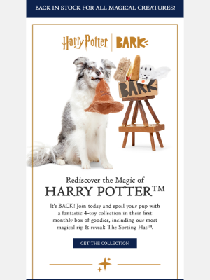 BarkBox - Bonus Toy + HARRY POTTER™ Box for your pup 💫