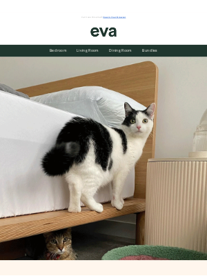 Eva (Australia) - Meet Mochi. Resident nap expert.