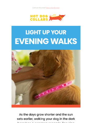 Hot Dog Collars - Evening Walk Essential 💡💡💡